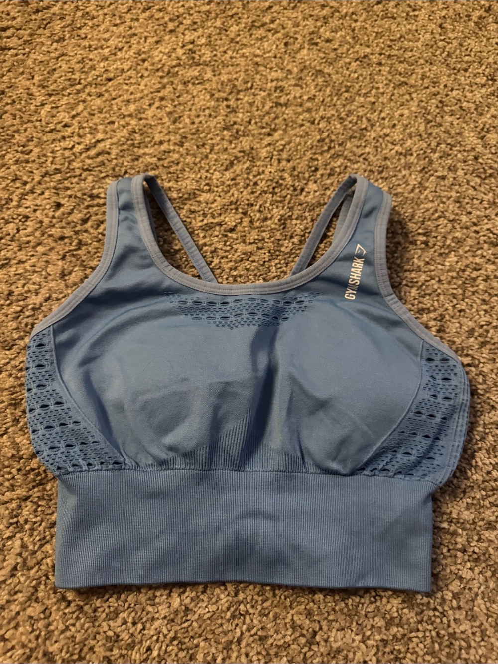 Gymshark Dusty Blue Seamless Sports Bra